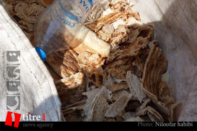 تقصیر دولت است که نان خشکی ها بیکار شده اند