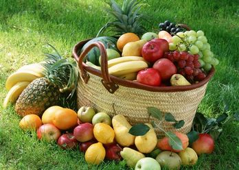 غذاهای ارگانیک؛ حامی سلامت