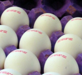 از پرینت 2 تومانی تا اضافه قیمت 50 تومانی تخم مرغ و تاریخ تقلبی!!