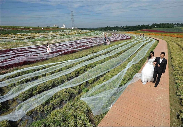 بلندترین لباس عروس جهان با دنباله 4 کیلومتری + عکس