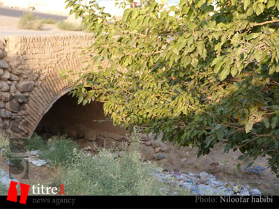 کشت زباله به جای محصول در روستاهای استان البرز/ بذری که محصولش فاجعه است
