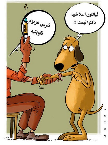 سگ‌کشی در شیراز/ کاریکاتور