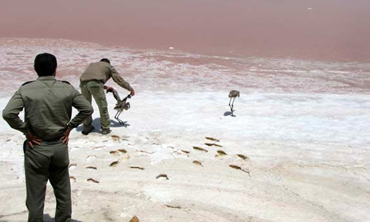 خشک شدن دومین دریاچه شور کشور