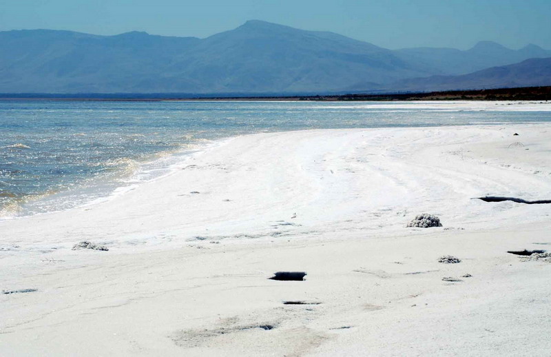 افزایش آگاهی عمومی ضامن حفظ ستاد احیای دریاچه ارومیه