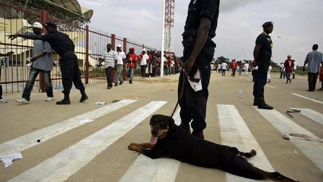 کشته شدن 17 نفر در آنگولا بر اثر هجوم تماشاگران به زمین فوتبال