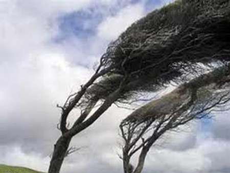 عصر امروز وزش باد شدید در البرز