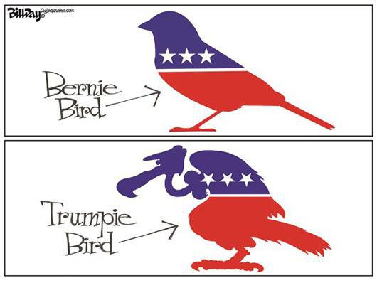 کاریکاتور پرنده « دونالد ترامپ » و « برنی سندرز » پس از پیروزی