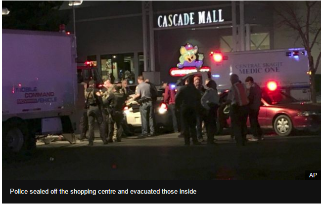 3 کشته و 1 زخمی در پی تیراندازی در مرکز خرید نیویورک