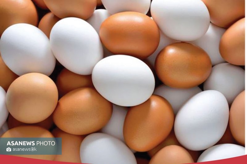 با خوردن روزی یک تخم مرغ از سکته پیشگیری کنید