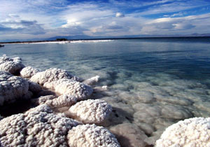 کاهش 7 سانتی متری سطح تراز دریاچه ارومیه/ تنها جاندار دریاچه در حال انقراض