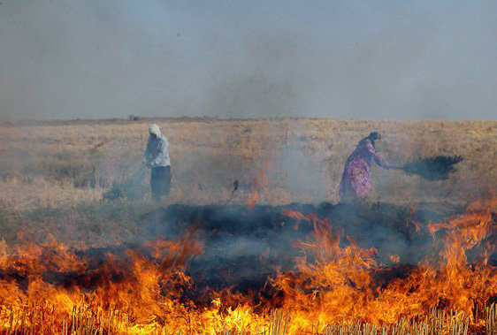 دود حاصل از آتش سوزی بقایای محصولات کشاورزی در چشم مردم نظرآباد