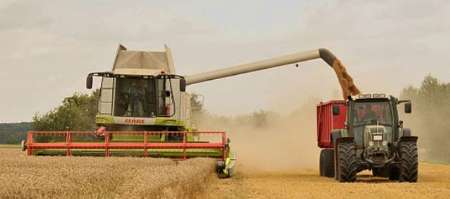 تولید گندم یکی از مهمترین ظرفیت های البرز/درخواست توجه بیشتر مسئولان به کشاورزان