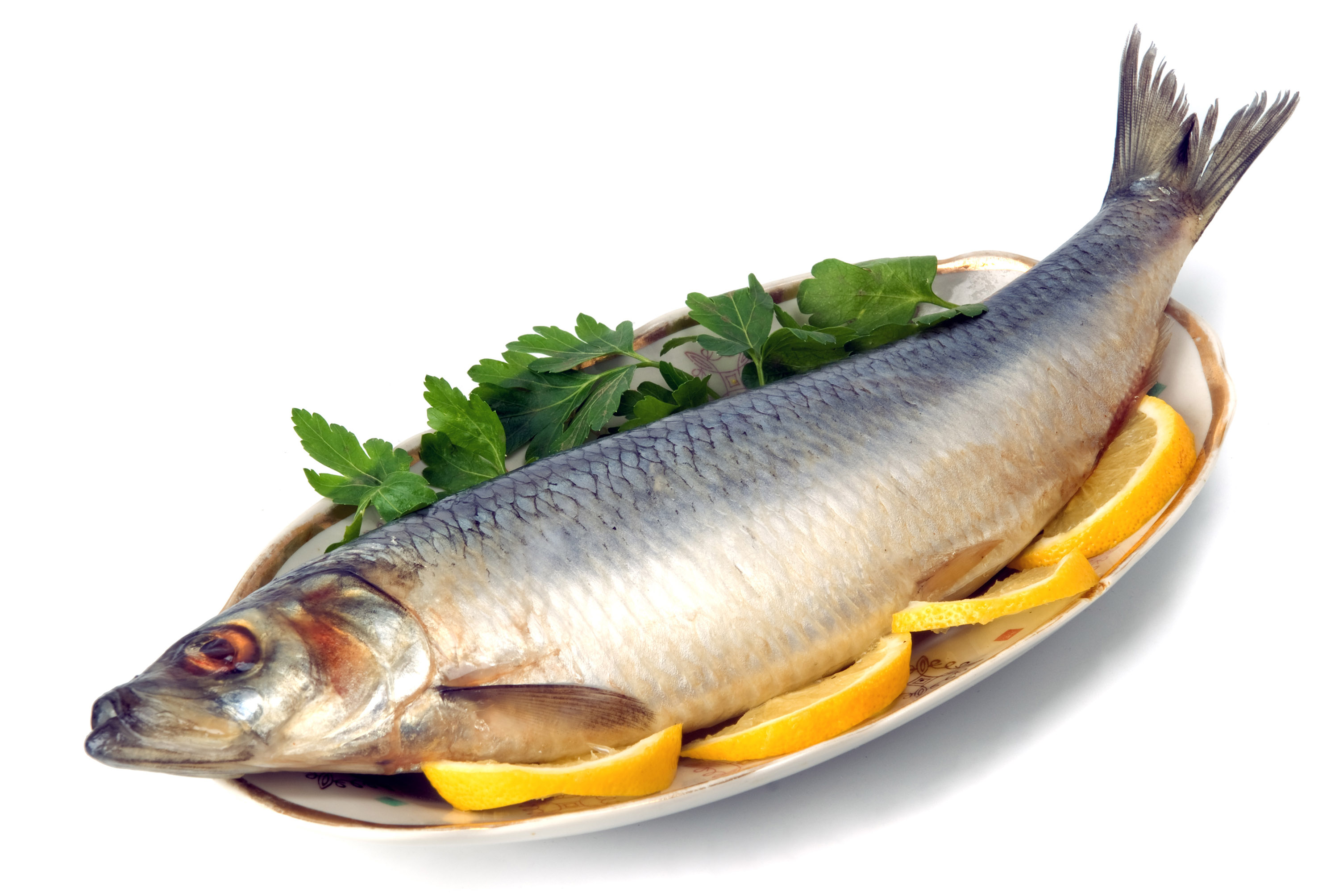 ماهی؛از کرانه ها تا پرورش/ استان البرز5مرکز تکثیرو پرورش قزل آلا دارد/فروش ماهی روی وانت غیرقانونی و غیربهداشتی است