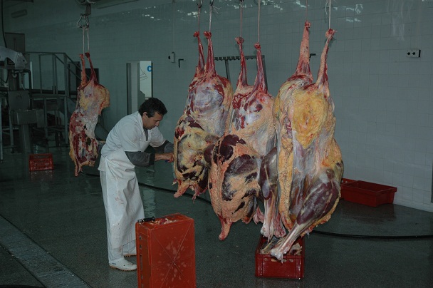 فرآورده های گوشتی البرز از تولید تا توزیع تحت نظارت دامپزشکی قرار دارند