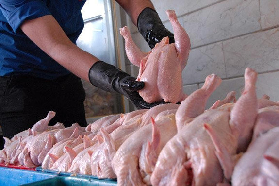 افزایش دما وآمار تلفات طیور، موجب کاهش عرضه و افزایش قیمت مرغ است