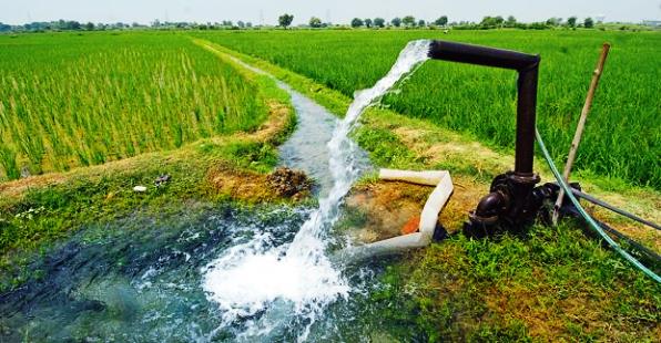 دغدغه های کشاورزان نظرآباد /تامین گازوئیل برای موتورهای کشاورزی از عمده مشکلات کشاورزان است/سم پاشی غیراصولی حشرات مفید را هم از بین می برد