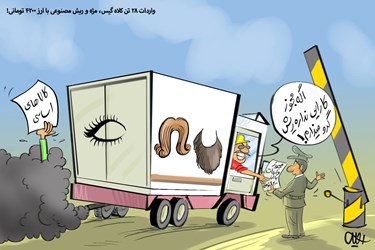 واردات ریش با ارز دولتی!