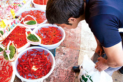 کوچ اجباری ماهی های قرمز در روزهای پایانی سال/ بسیاری از ماهی های وارد شده به استان مجوز بهداشتی ندارند