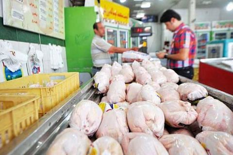 توزیع روزانه 25 تن مرغ گرم در البرز/ کاهش قیمت ها از نیمه دوم فروردین