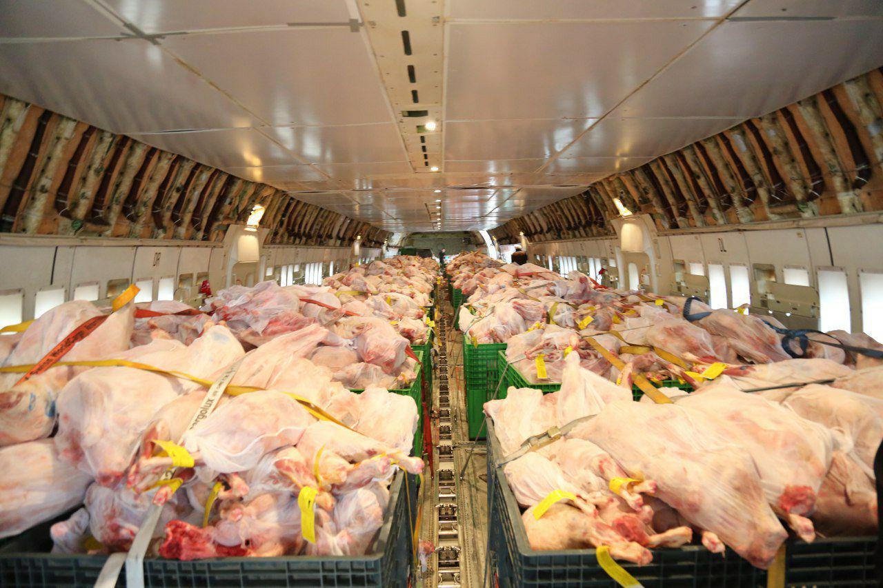 واردات 40 تن گوشت برای تنظیم بازار در فرودگاه پیام کرج