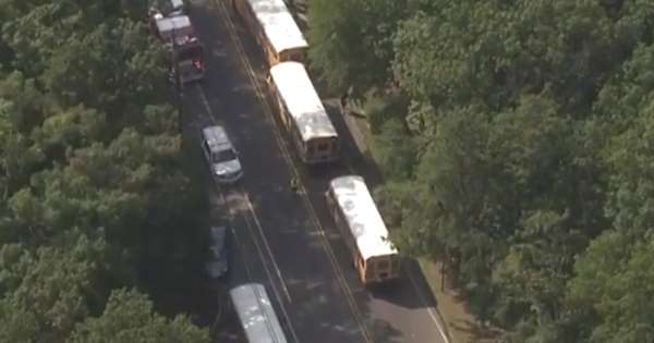 تصادف 5 اتوبوس مدرسه در آمریکا و انتقال 17 نفر به بیمارستان