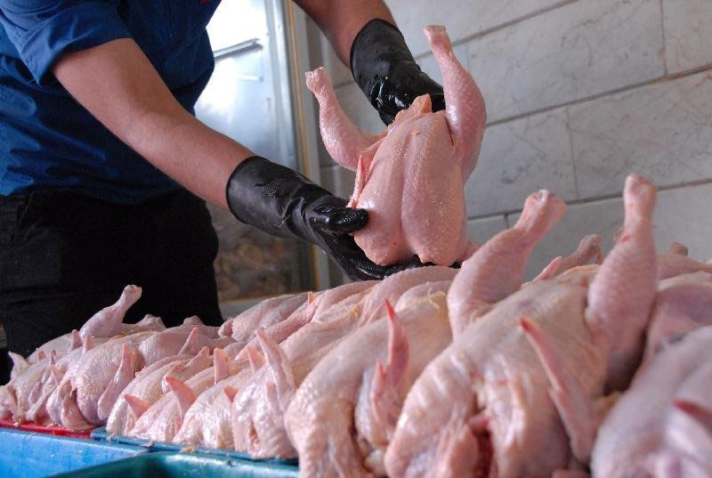 توزیع مرغ منجمد داخلی با قیمت 6750 تومان برای تعدیل بازار در البرز/ فروشگاه ها مرغ مورد نیاز خود را با قیمت مصوب دریافت کنند