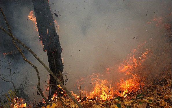 ۲ هکتار از مراتع روستای «سرهه» ساوجبلاغ در آتش سوخت