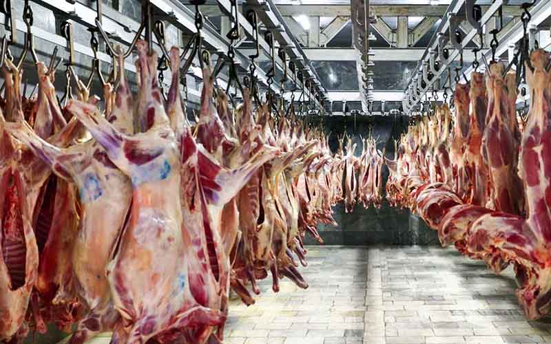 شهروندان گوشت با قیمت مناسب را از بازار روزها تهیه کنند/ عرضه گوشت گرم گوسفند وارداتی برای تنظیم بازار در کرج