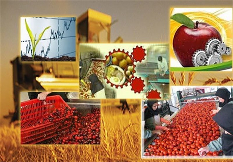 ظرفیت بالای البرز در صنایع تبدیلی کشاورزی/13درصد صادرات غیرنفتی از البرز انجام می شود
