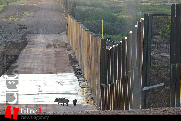 دیوار مرزی ترامپ یک فاجعه انسانی و زیست محیطی است