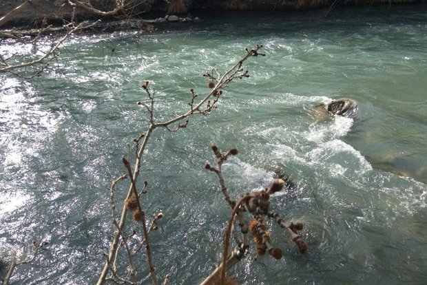 رودخانه کرج دختر بچه 7 ساله را به کام مرگ برد
