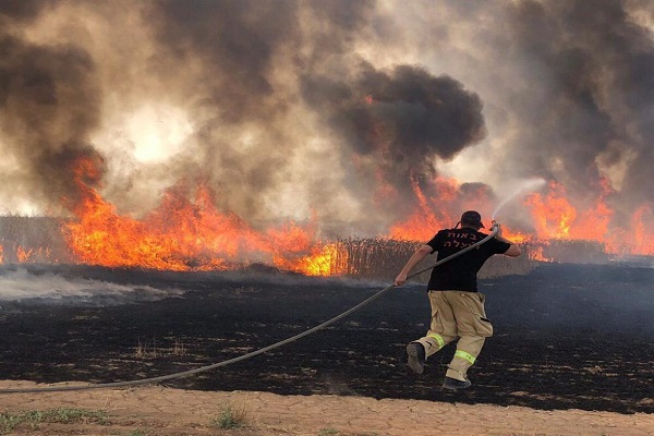 شهرک های غیر قانونی صهیونیستی به آتش کشیده شد + عکس و فیلم