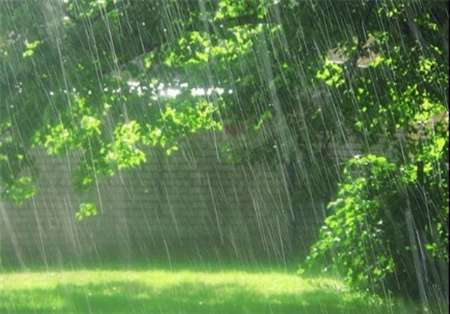 سازمان هواشناسی اعلام کرد؛ باران 5 روزه در 14 استان