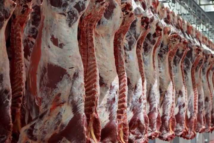 ۲۳ هزار کیلو گوشت در استان البرز معدوم شد