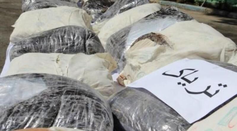 ۱۰ تن مواد مخدر در استان البرز کشف شد