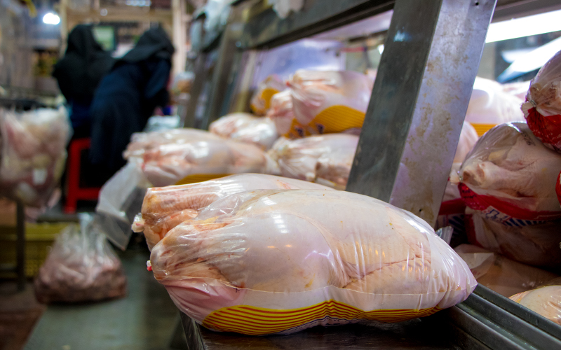 افزایش 300 تومانی نرخ مرغ در بازار/ قیمت مرغ به 14 هزار تومان رسید