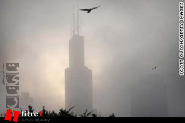 کوچک شدن پرندگان به خاطر تغییرات آب و هوایی!/ شیکاگو بزرگترین قاتل پرندگان است