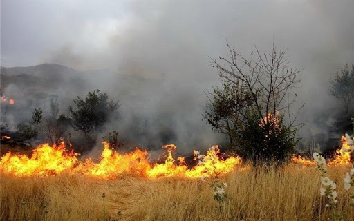 عامل 90 درصد آتش سوزی عرصه های طبیعی البرز، انسانی است/ 1504، سامانه اطلاع رسانی حریق توسط شهروندان