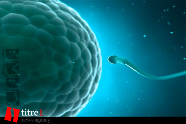 تأثیر هویت خاص زنان و مردان در تعاملات بین تخمک و اسپرم