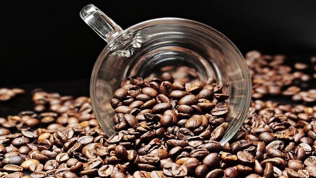 ۱۳۶ هزار کیلوگرم قهوه قاچاق در البرز کشف شد