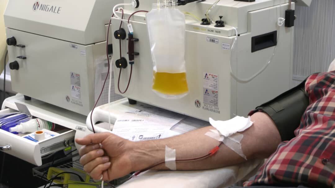 مدیرکل انتقال خون البرز: بهبود یافتگان کرونا پلاسما اهدا کنند