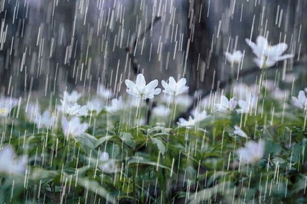 پیش بینی رعد و برق و بارش پراکنده باران از عصر امروز در البرز