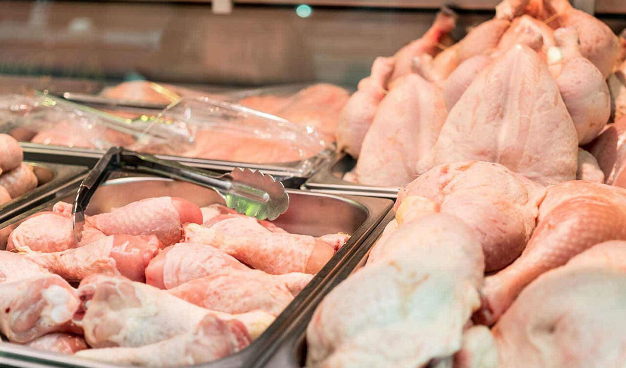 مرغداران روزانه ۴۵ تن گوشت گرم مرغ مورد نیاز البرز را تامین می کنند