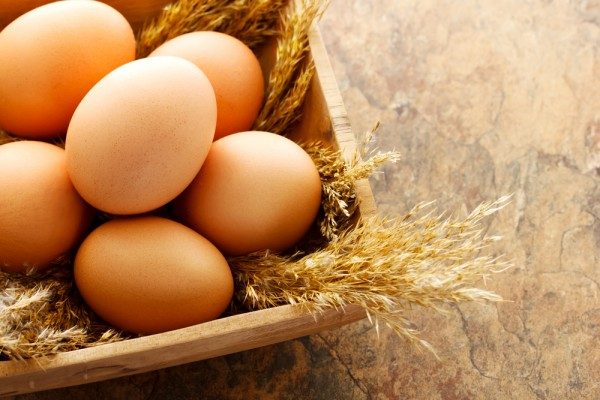 میزان تولید تخم مرغ در البرز؛ ۳۰ برابر میانگین کشور