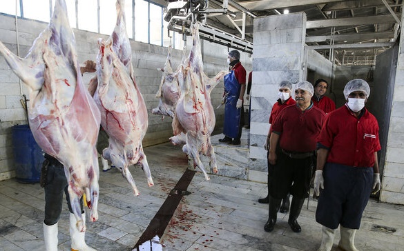 دلایل گرانی گوشت در بازار اعلام شد