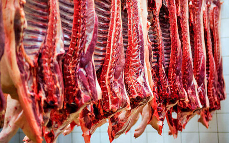 گوشت ۳۰۰ هزار تومانی شایعه است/ نخریئن مردم؛ راهکار کاهش قیمت ها