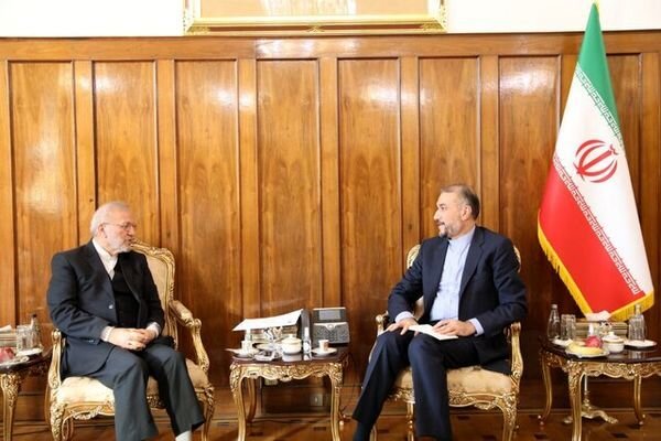 دیدار امیرعبداللهیان با وزیر محمود احمدی نژاد