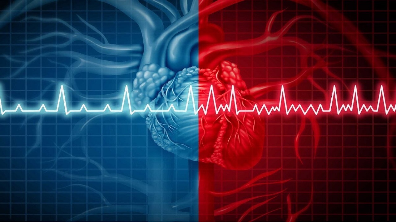 هوش مصنوعی بیماری قلبی را تشخیص می دهد