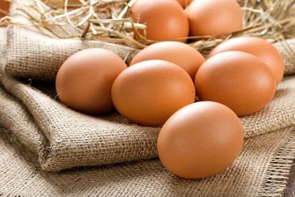 آیا می توان تخم مرغ را ارزانتر خرید؟