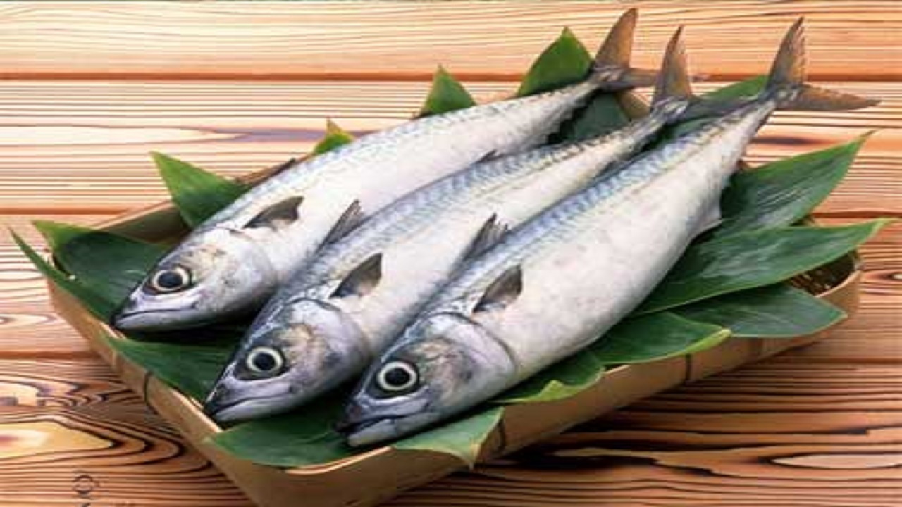 انواع ماهی در بازار چند قیمت خورد؟